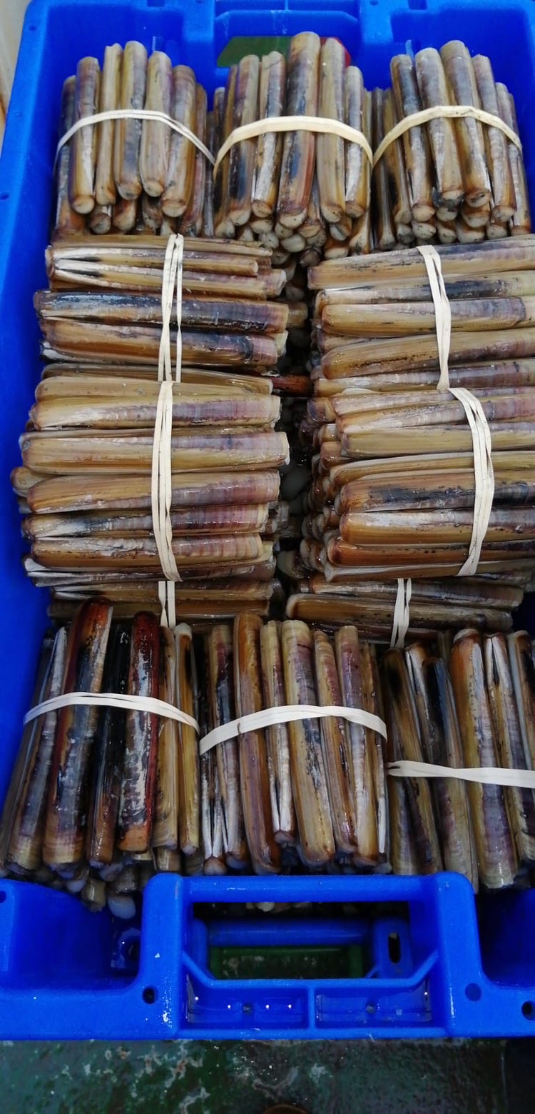 Quality processing facility